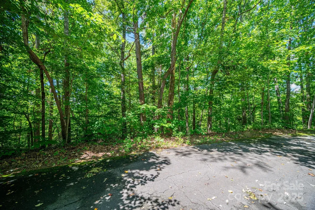 Lot 166 Plantation Drive Rutherfordton NC 28139