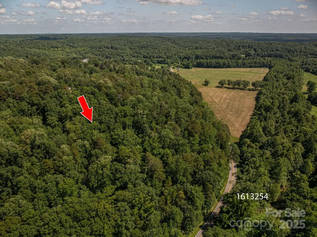 Lot 166 Plantation Drive Rutherfordton NC 28139