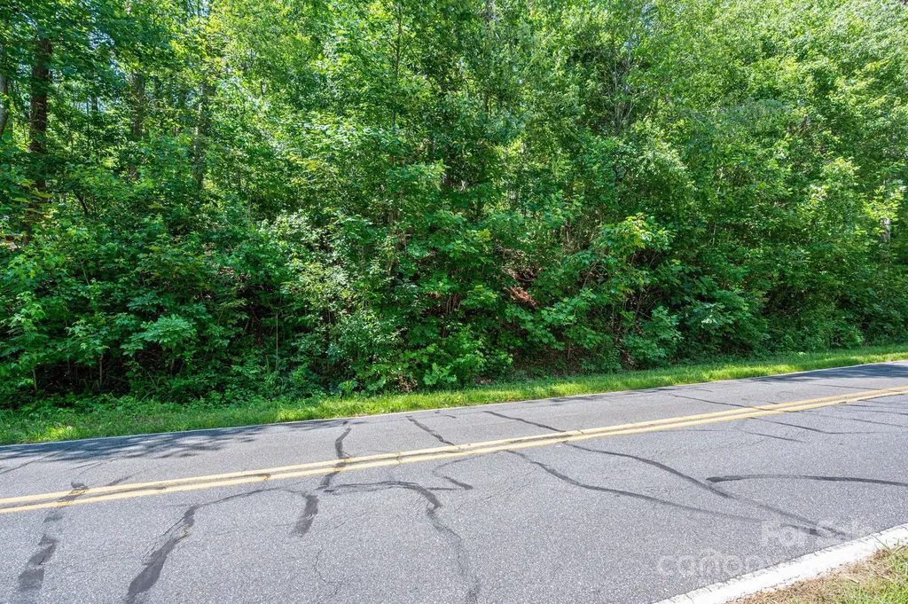 Lot 2 Cleghorn Mill Road Rutherfordton NC 28139
