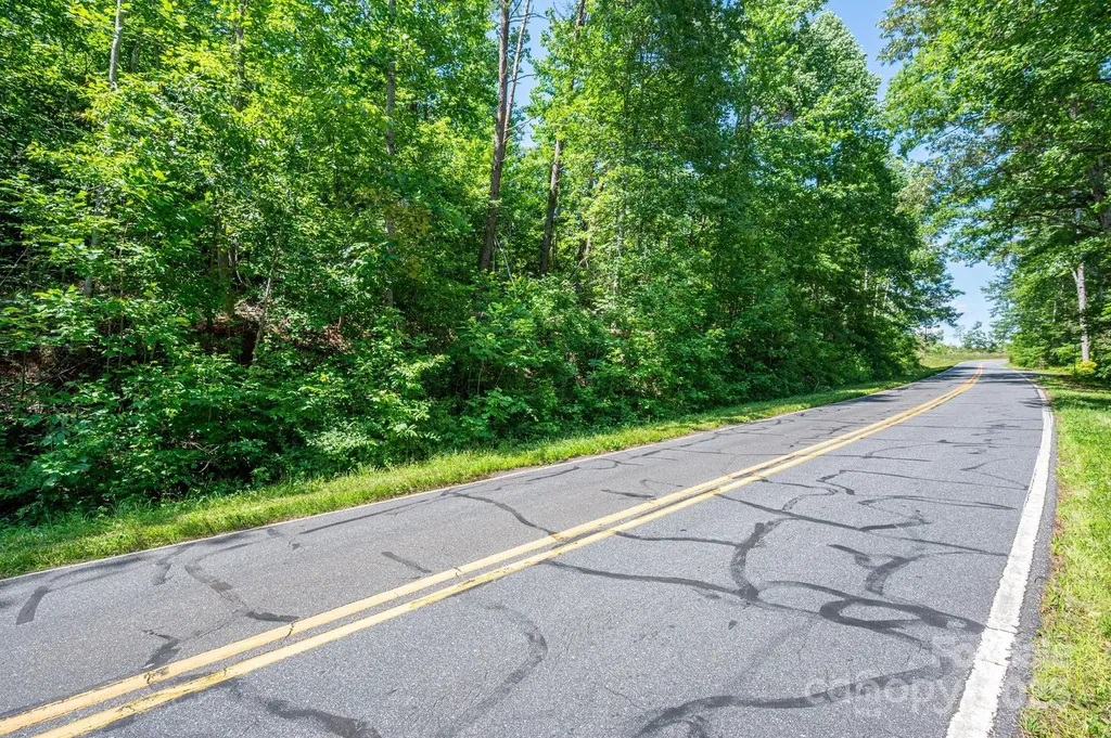 Lot 2 Cleghorn Mill Road Rutherfordton NC 28139