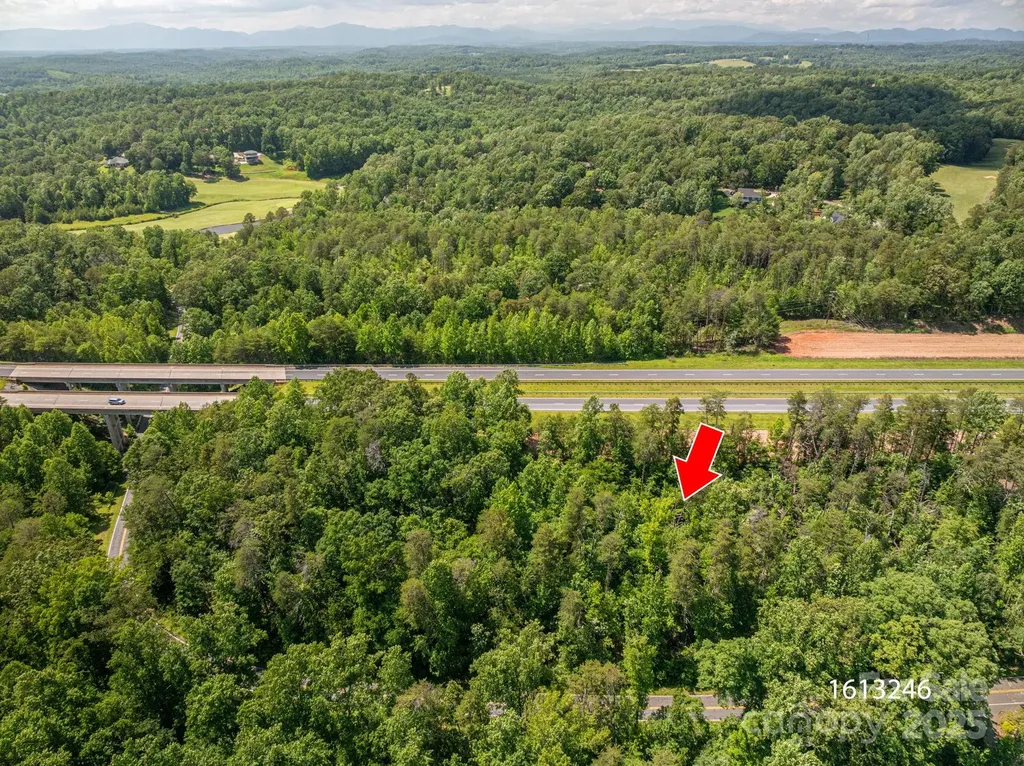 Lot 2 Cleghorn Mill Road Rutherfordton NC 28139