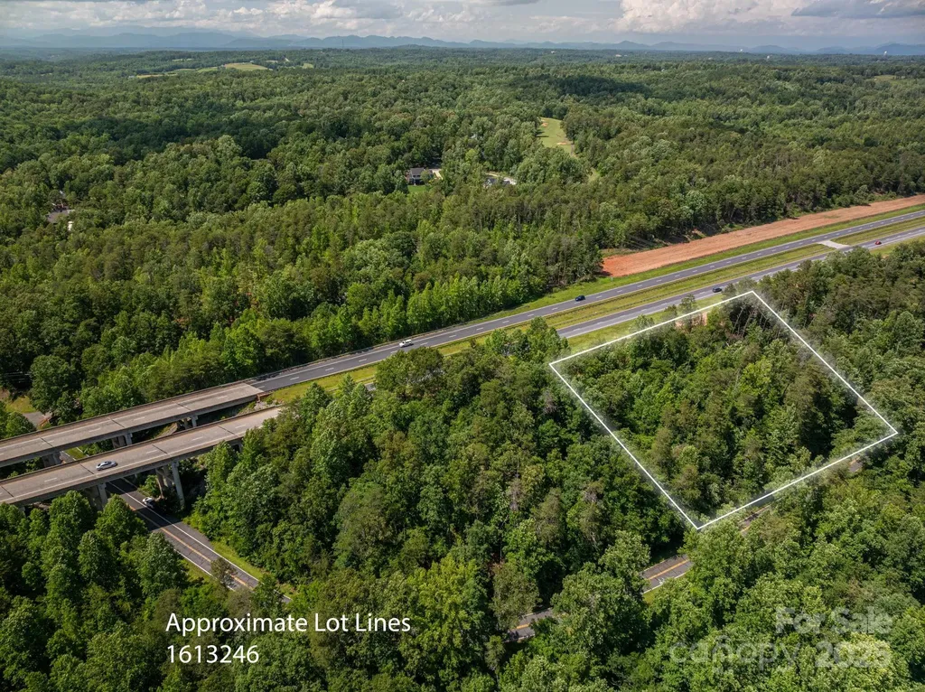 Lot 2 Cleghorn Mill Road Rutherfordton NC 28139