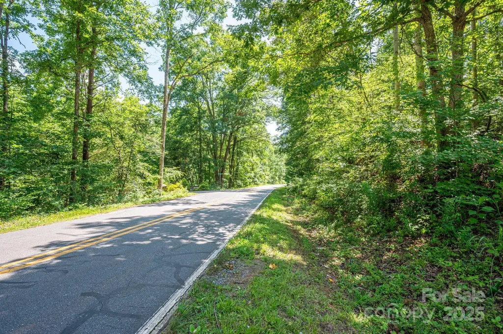 Lot 1 Cleghorn Mill Road Rutherfordton NC 28139
