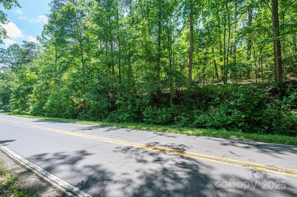 Lot 1 Cleghorn Mill Road Rutherfordton NC 28139