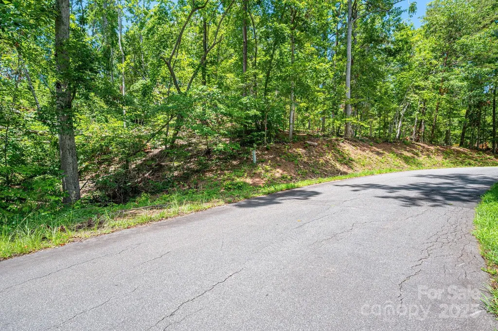 Lot 191 Plantation Drive Rutherfordton NC 28139