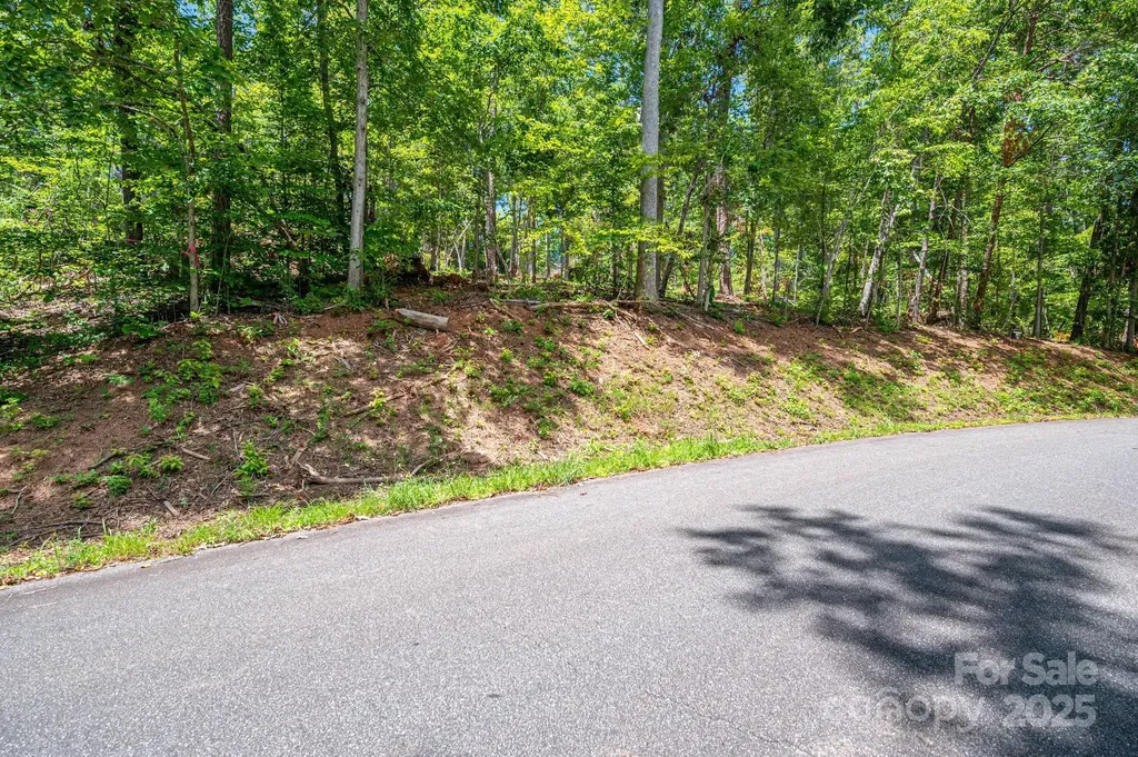 Lot 191 Plantation Drive Rutherfordton NC 28139