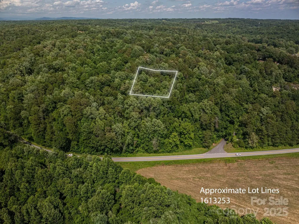 Lot 165 Plantation Drive Rutherfordton NC 28139