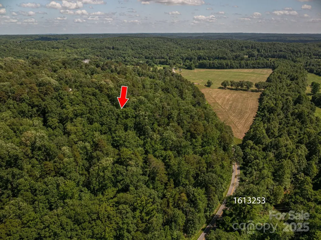 Lot 165 Plantation Drive Rutherfordton NC 28139