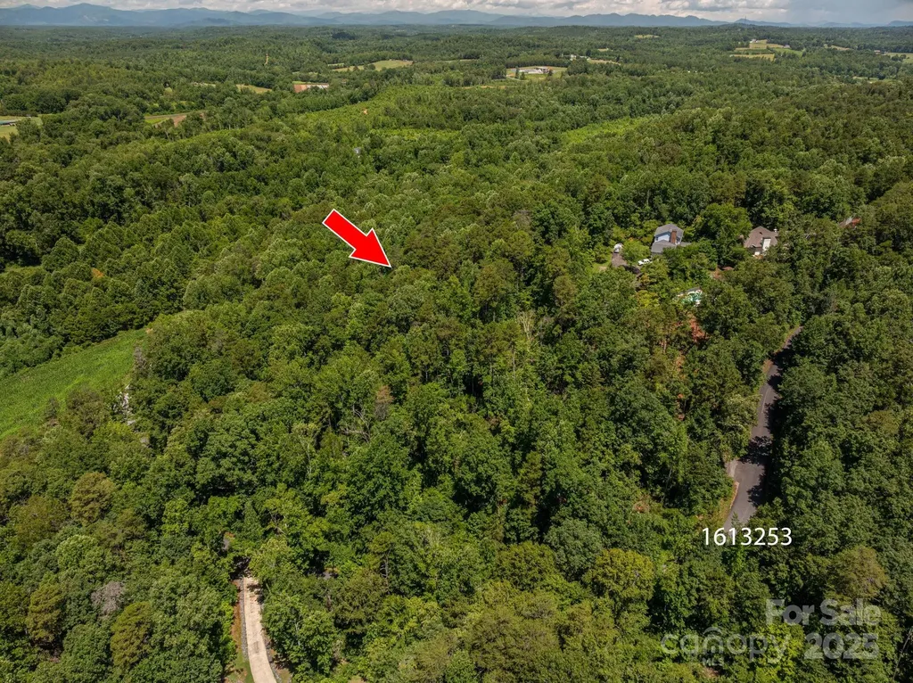 Lot 165 Plantation Drive Rutherfordton NC 28139