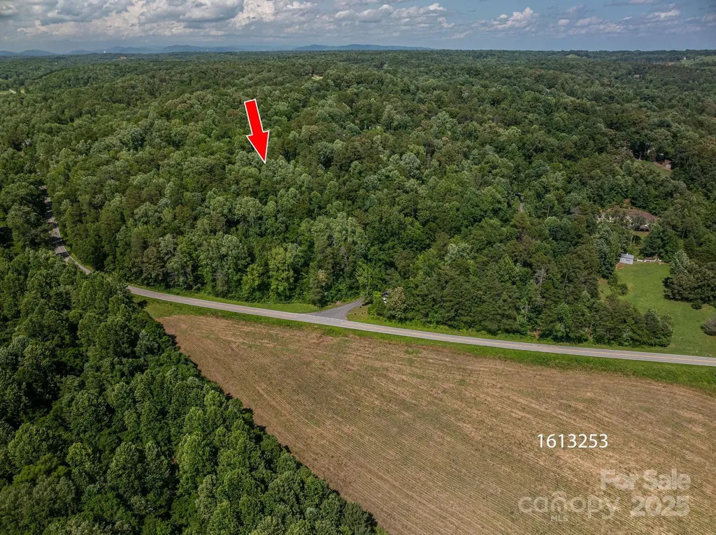Lot 165 Plantation Drive Rutherfordton NC 28139