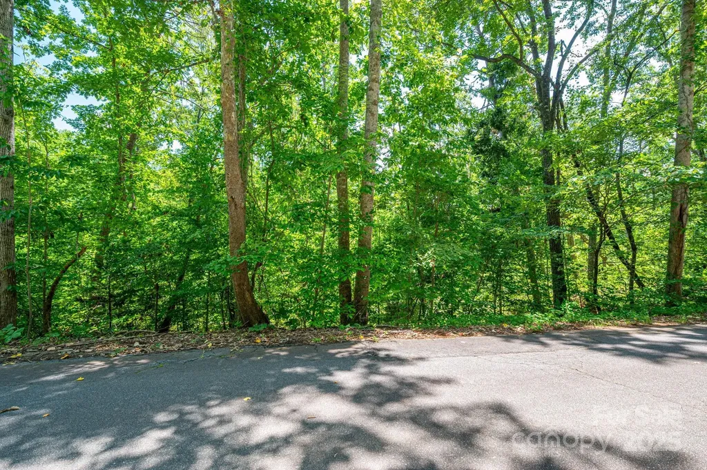 Lot 132 Plantation Drive Rutherfordton NC 28139