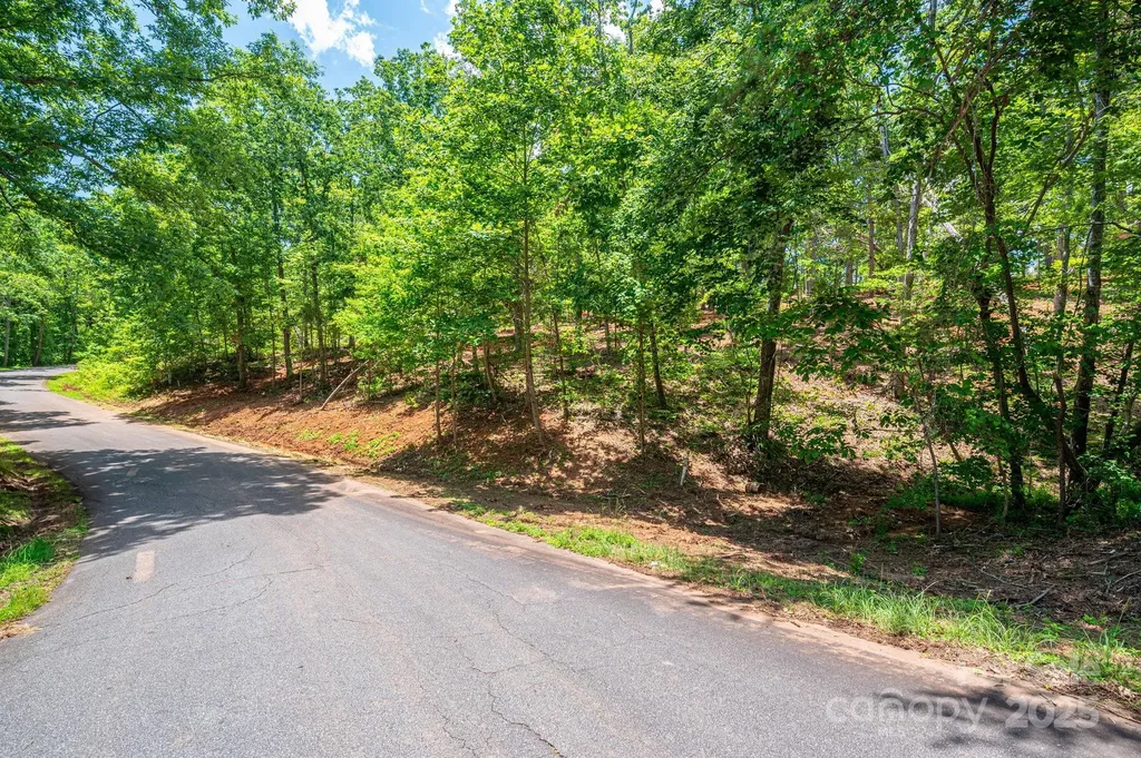Lot 193 Plantation Drive Rutherfordton NC 28139