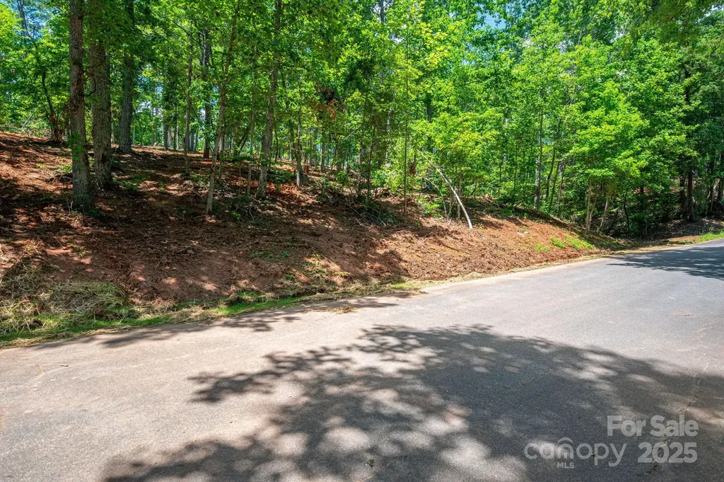 Lot 193 Plantation Drive Rutherfordton NC 28139