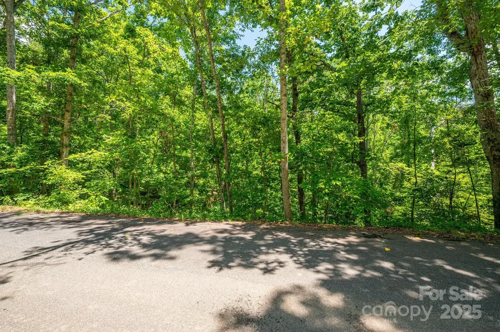 Lot 131 Plantation Drive Rutherfordton NC 28139