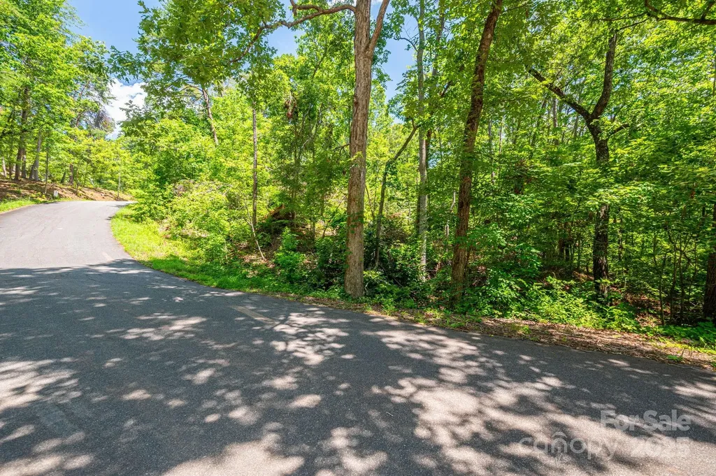 Lot 131 Plantation Drive Rutherfordton NC 28139