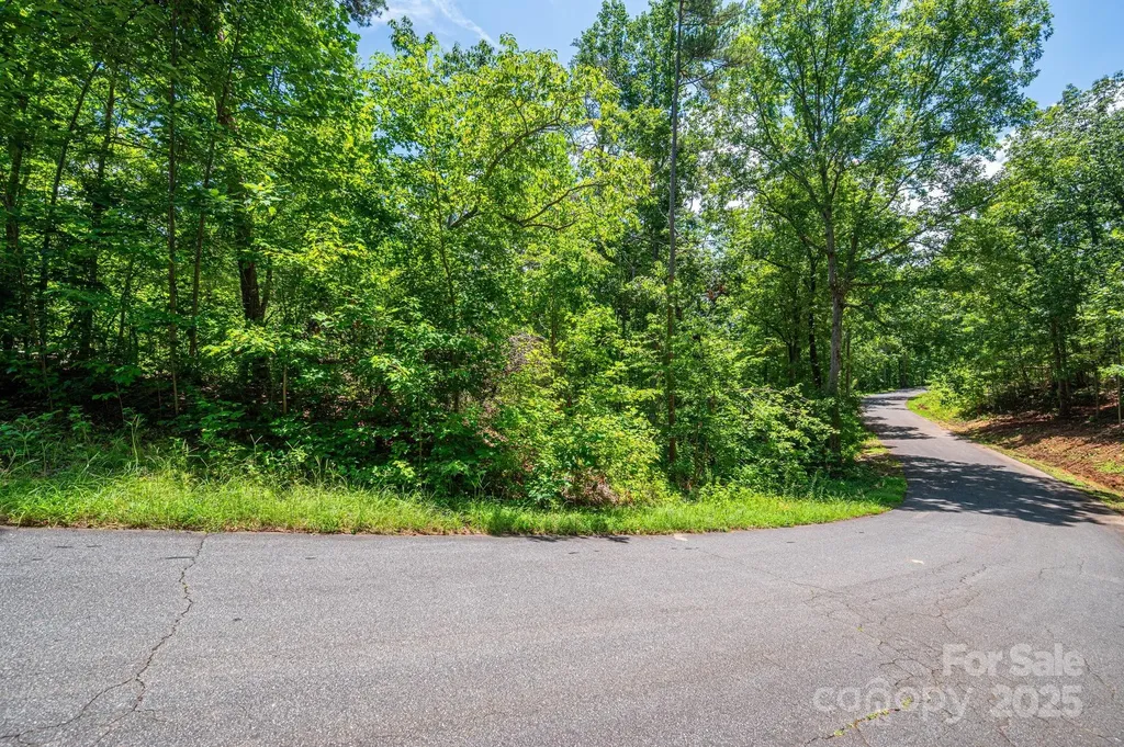 Lot 131 Plantation Drive Rutherfordton NC 28139