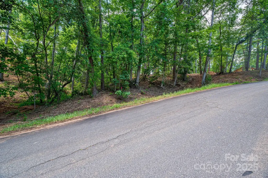 Lot 209 Plantation Drive Rutherfordton NC 28139