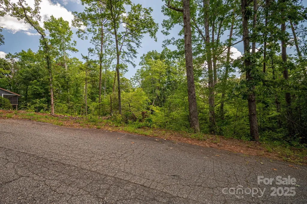 Lot 207 Plantation Drive Rutherfordton NC 28139