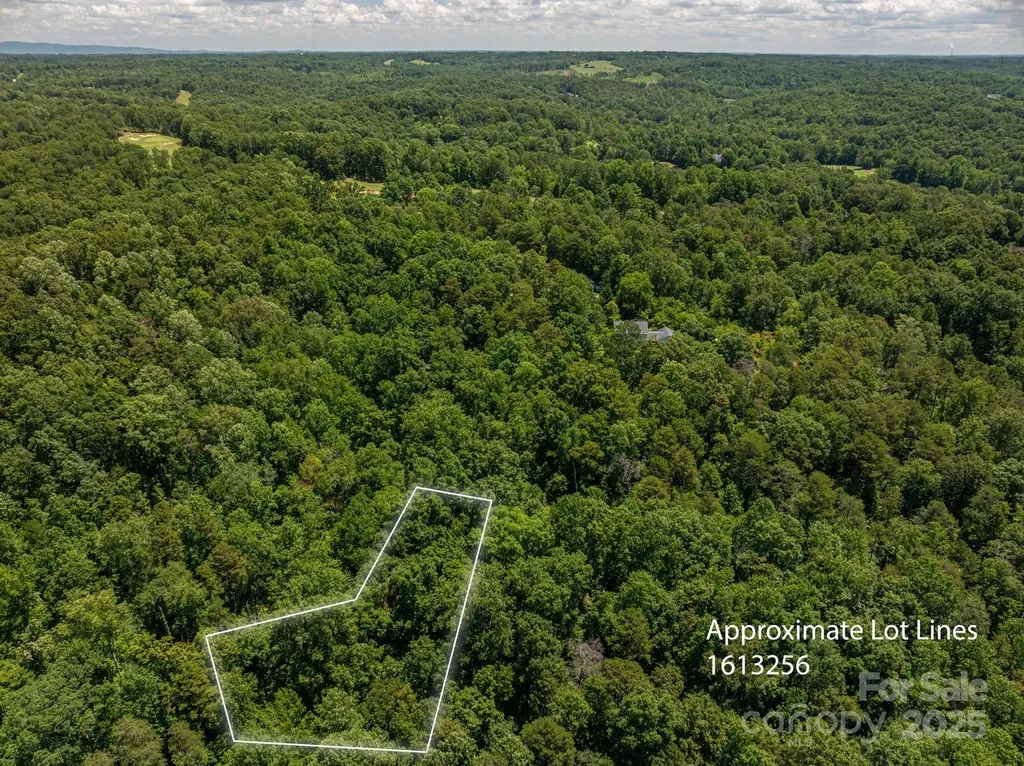 Lot 168 Plantation Drive Rutherfordton NC 28139