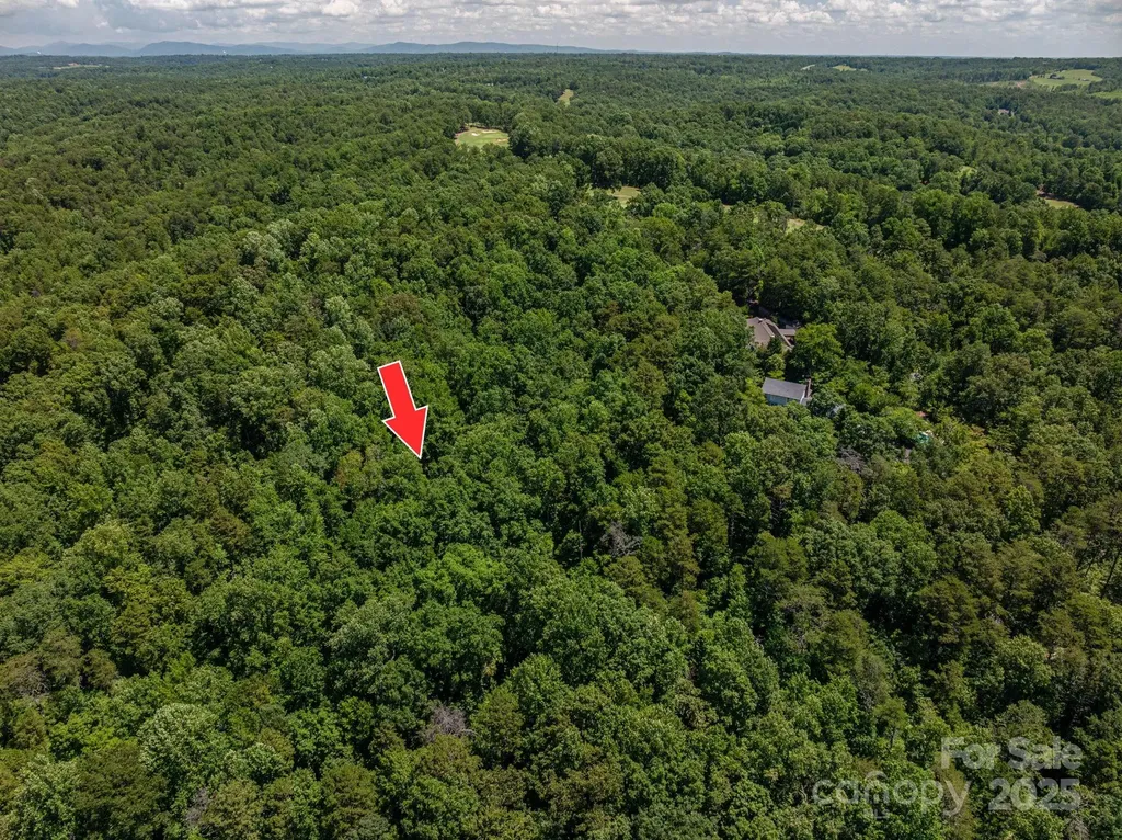 Lot 168 Plantation Drive Rutherfordton NC 28139