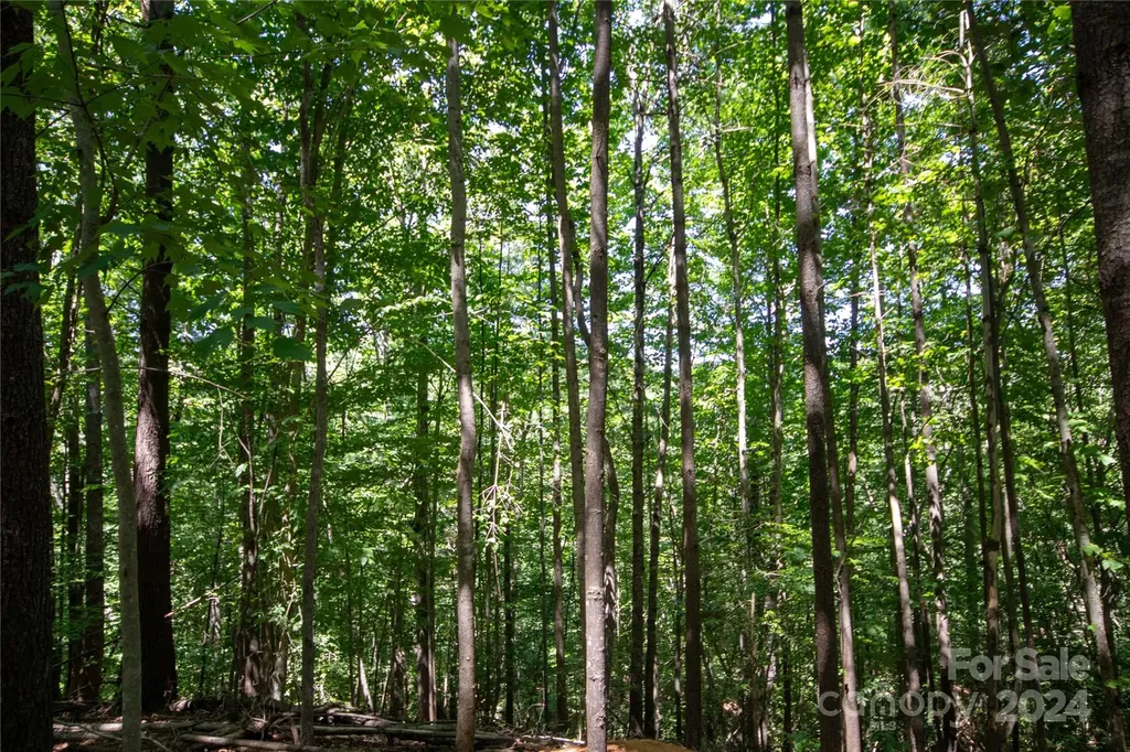 Lot# 24 Brittany Drive Lenoir NC 28645