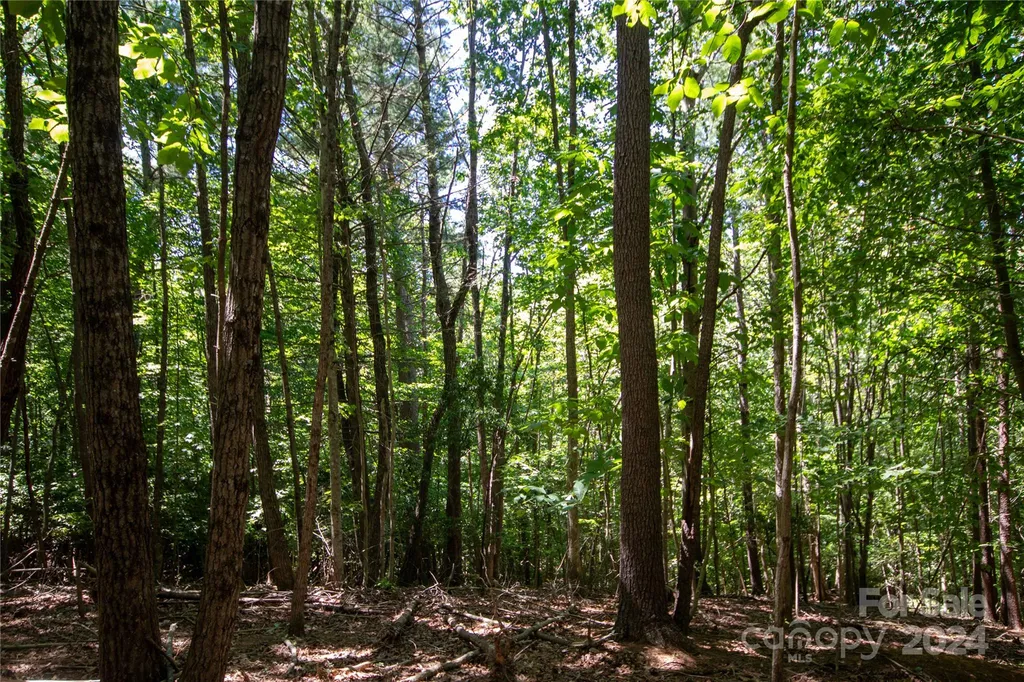 Lot# 24 Brittany Drive Lenoir NC 28645