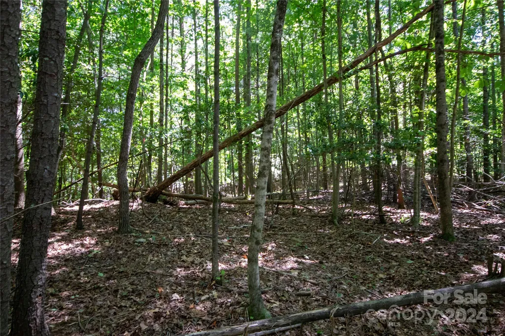 Lot# 24 Brittany Drive Lenoir NC 28645
