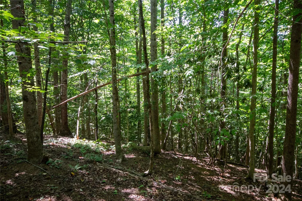 Lot# 24 Brittany Drive Lenoir NC 28645
