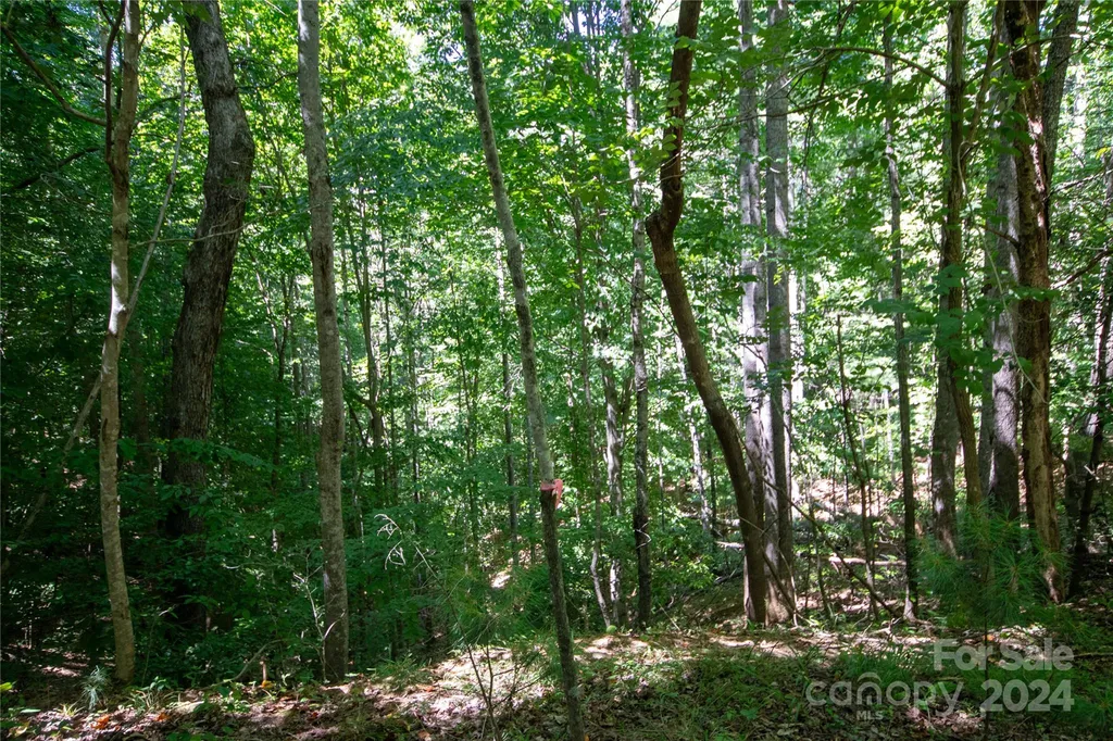 Lot# 24 Brittany Drive Lenoir NC 28645