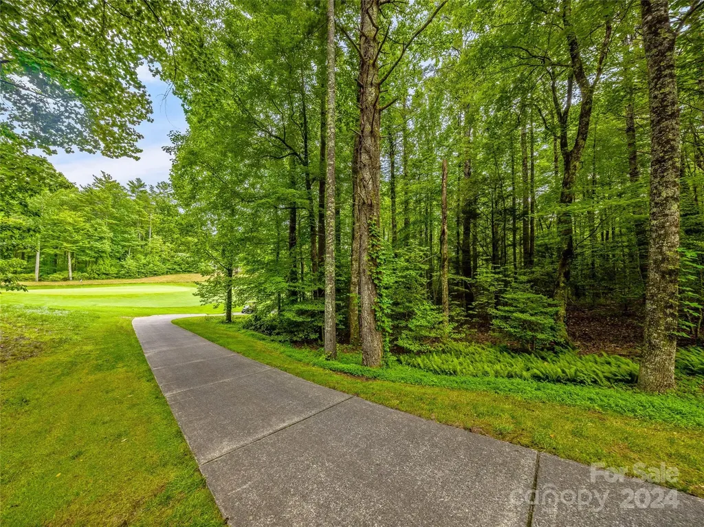 N 17 Mills Creek Trace Lake Toxaway NC 28747