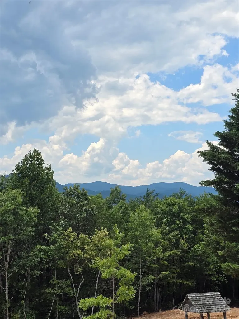 290 Boland Drive Lake Lure NC 28746