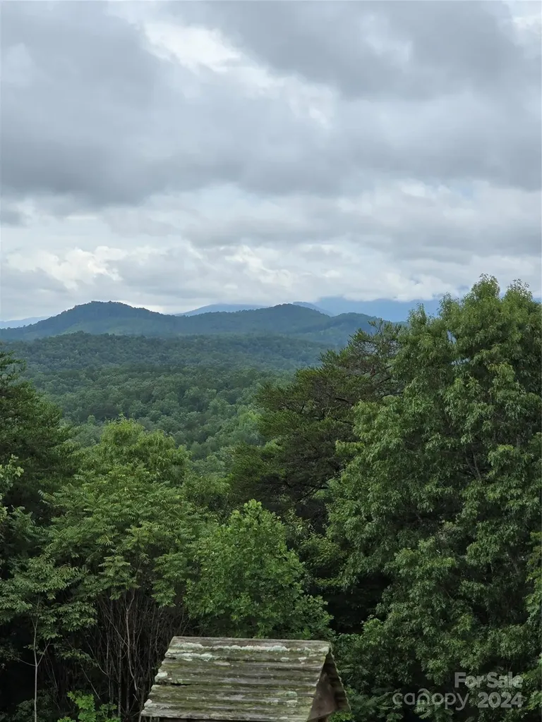 290 Boland Drive Lake Lure NC 28746