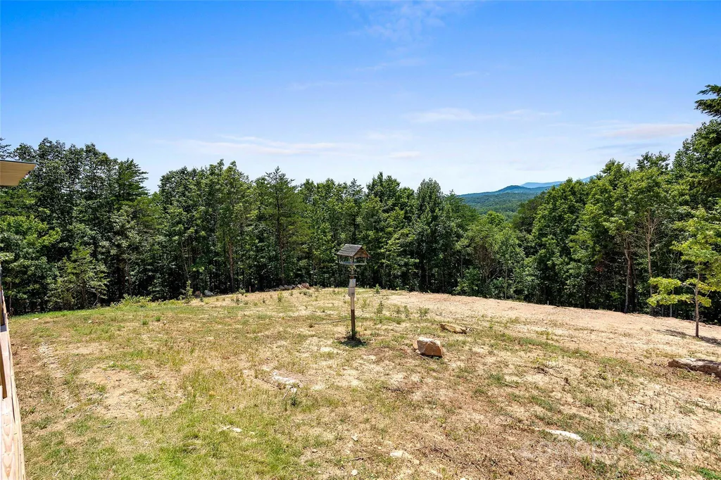 290 Boland Drive Lake Lure NC 28746