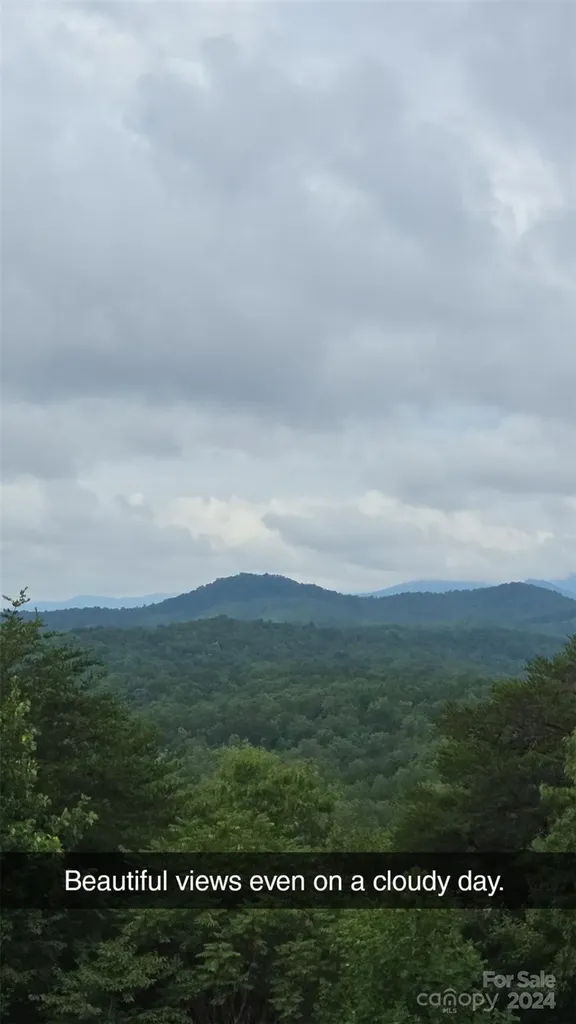 290 Boland Drive Lake Lure NC 28746
