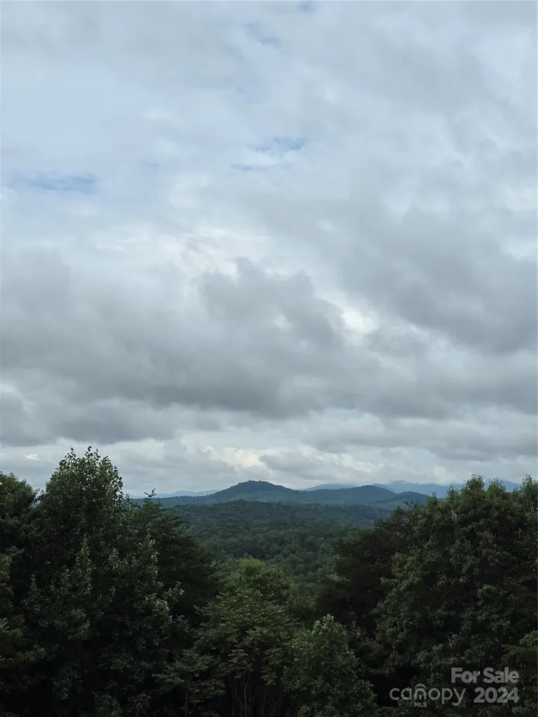 290 Boland Drive Lake Lure NC 28746