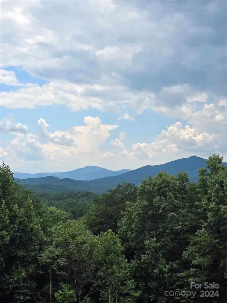 290 Boland Drive Lake Lure NC 28746