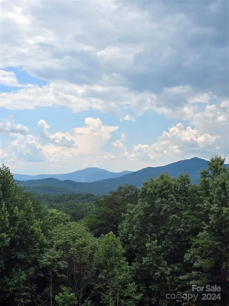290 Boland Drive Lake Lure NC 28746