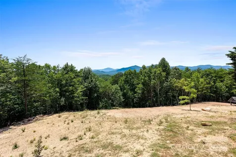 290 Boland Drive Lake Lure NC 28746