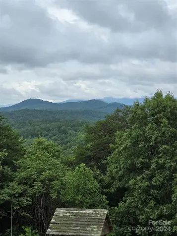 290 Boland Drive Lake Lure NC 28746