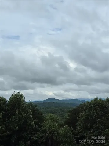 290 Boland Drive Lake Lure NC 28746