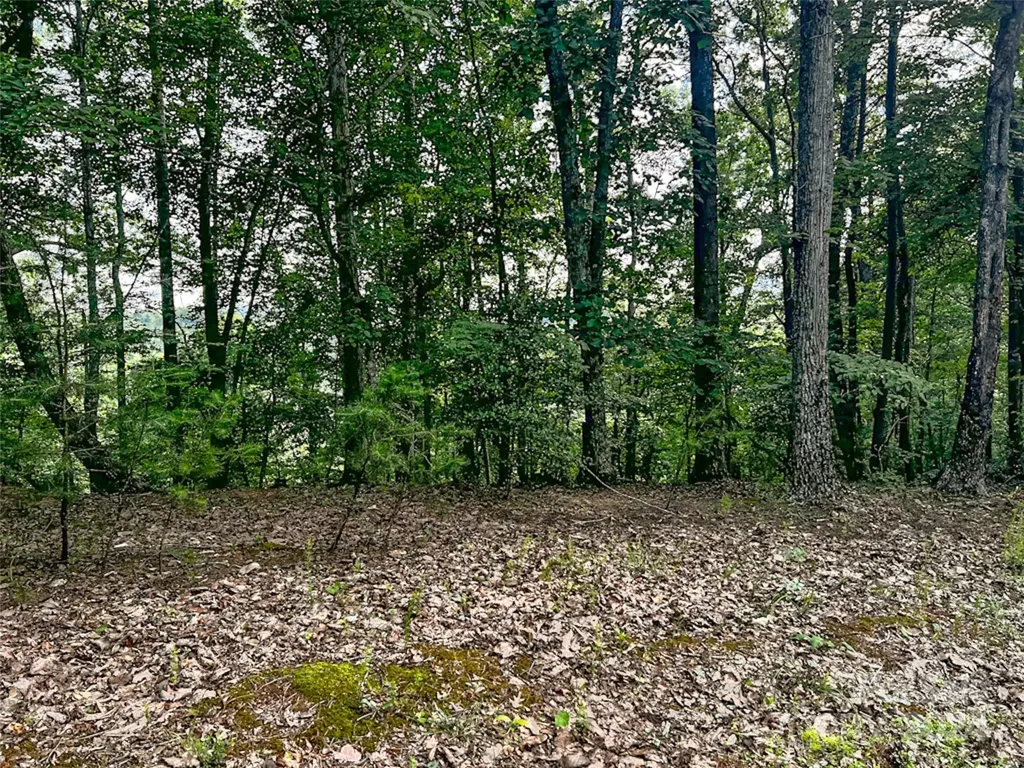 00 Whitney Boulevard Lake Lure NC 28746