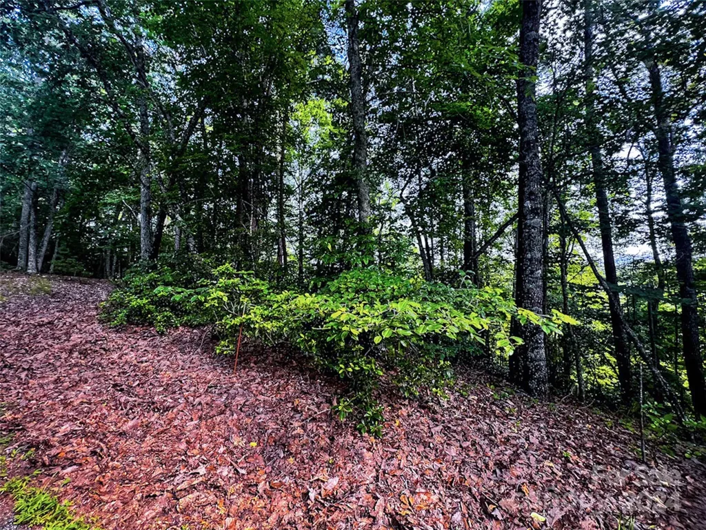 00 Whitney Boulevard Lake Lure NC 28746