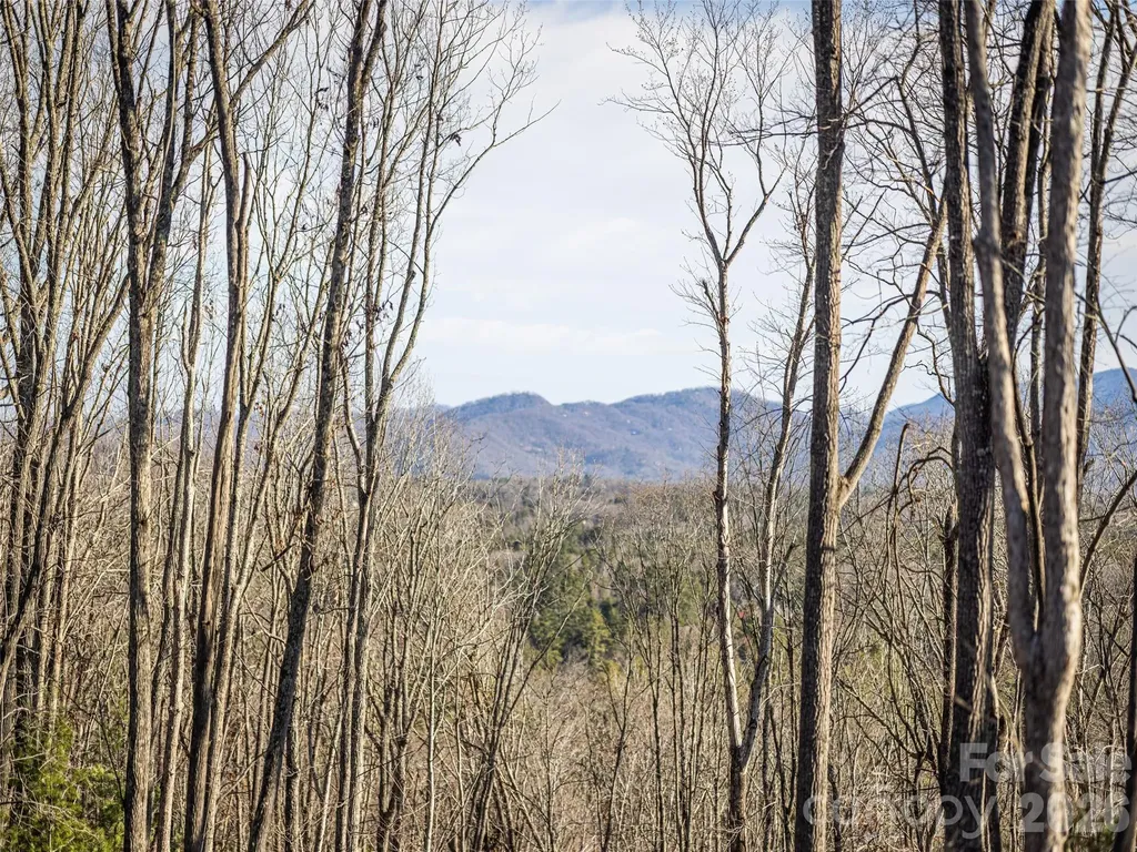 676 Tea House Drive Asheville NC 28803