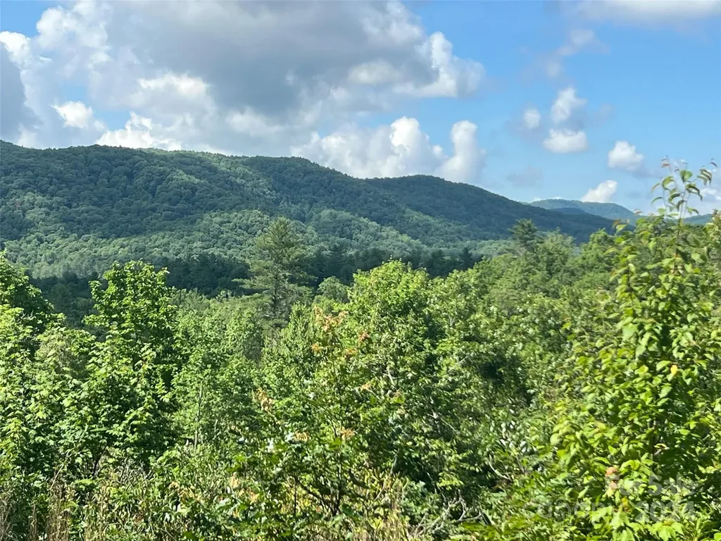 667 Laurel Thicket Lane Brevard NC 28712