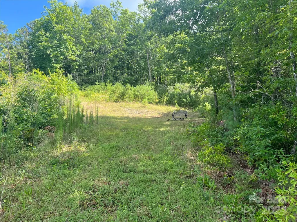 667 Laurel Thicket Lane Brevard NC 28712