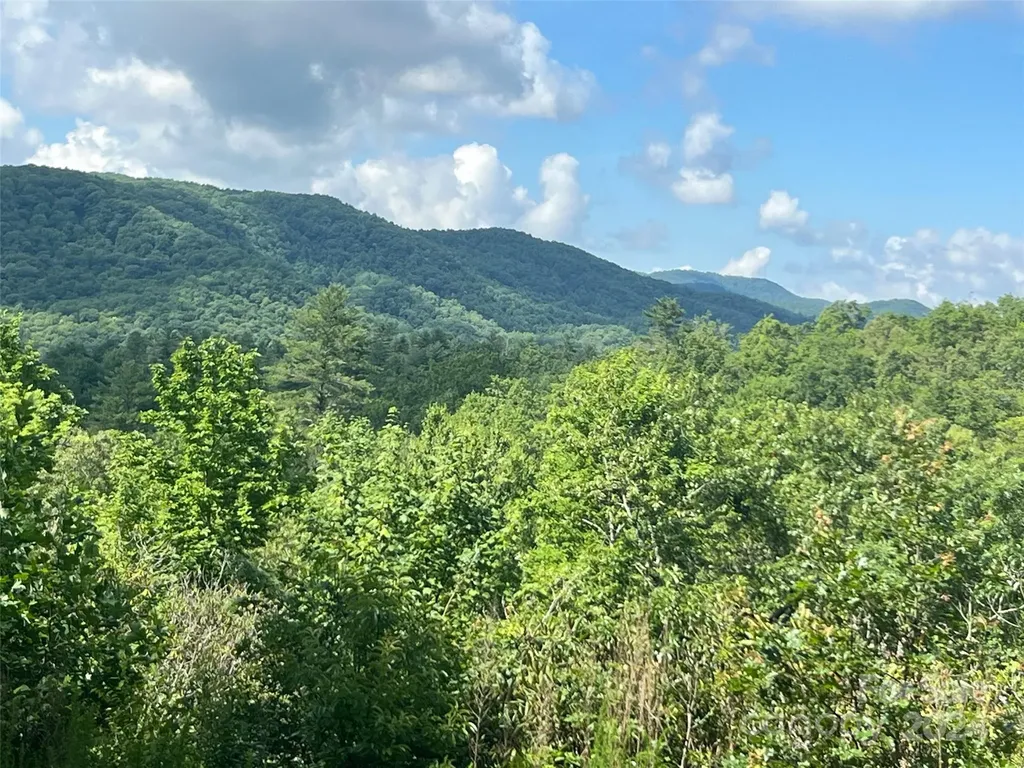 667 Laurel Thicket Lane Brevard NC 28712