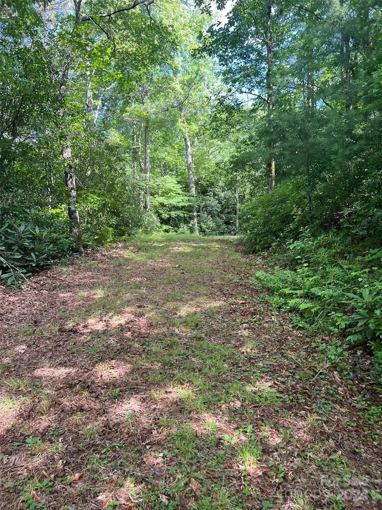 667 Laurel Thicket Lane Brevard NC 28712