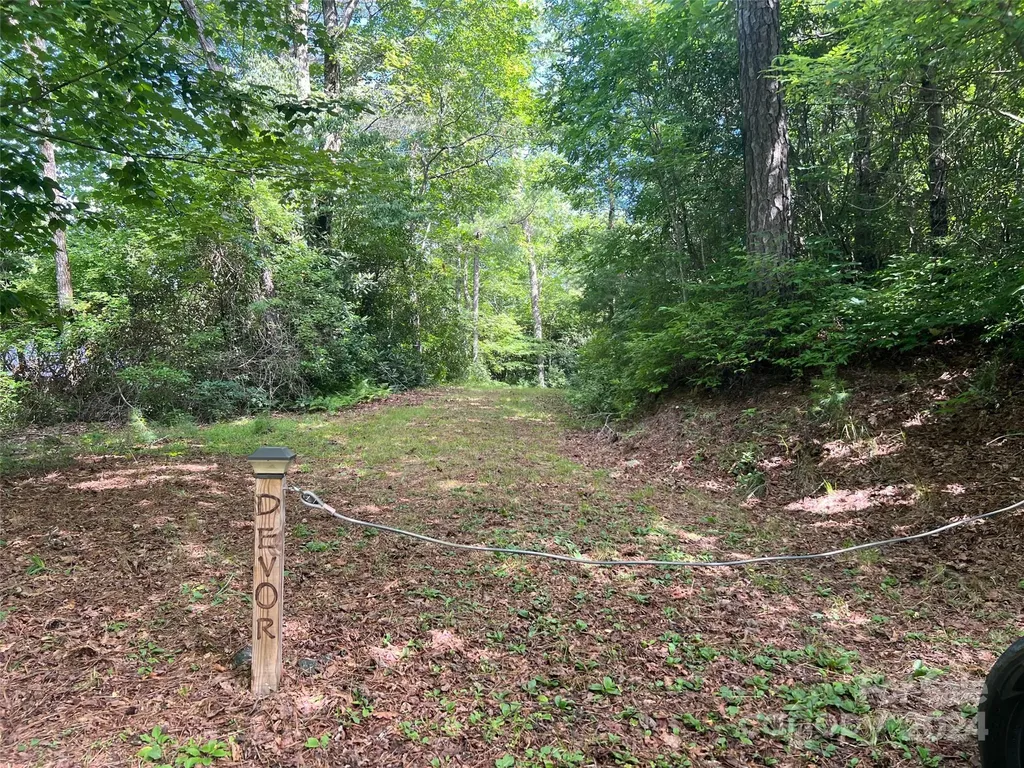667 Laurel Thicket Lane Brevard NC 28712