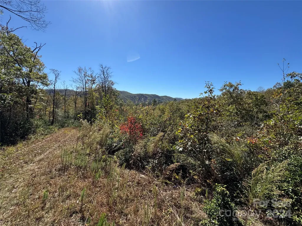 667 Laurel Thicket Lane Brevard NC 28712