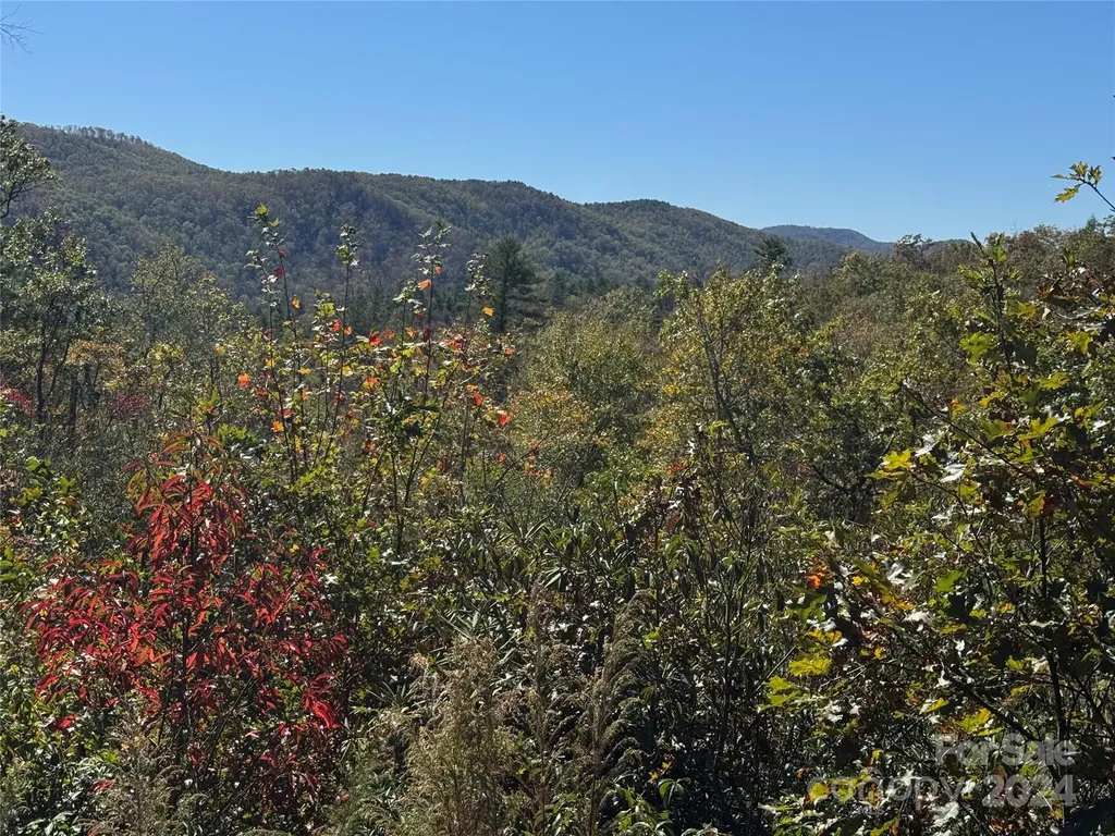 667 Laurel Thicket Lane Brevard NC 28712